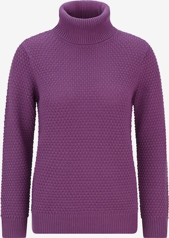 Pull-over Goldner en violet : devant