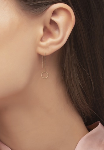 Heideman Earrings in Gold: front