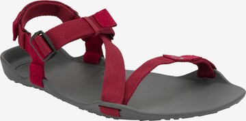 Xero Shoes Sandals 'Z-Trek' in Red: front