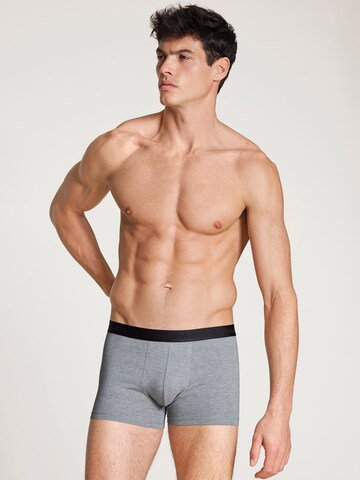 CALIDA Boxershorts in Grau