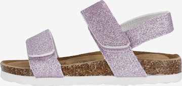 ZigZag Sandals & Slippers in Purple