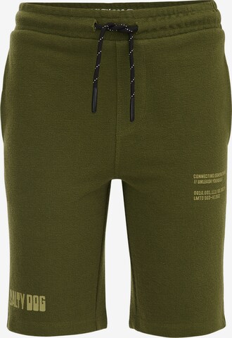 regular Pantaloni di WE Fashion in verde: frontale