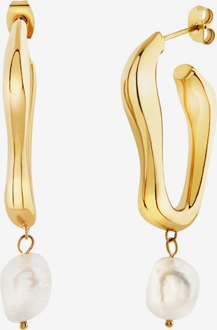 Breil Earrings in Gold: front