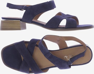 CAPRICE Sandals & High-Heeled Sandals in 41 in Blue: front
