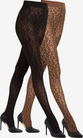 camano camano Strumpfhose leo in Braun: Vorderseite