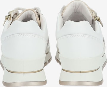 IGI&CO Sneakers in White