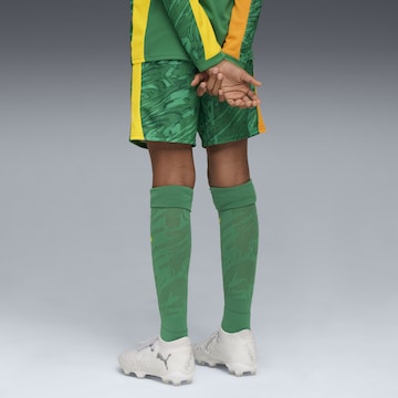 PUMA Regular Sportbroek 'Borussia Dortmund 25/26' in Groen