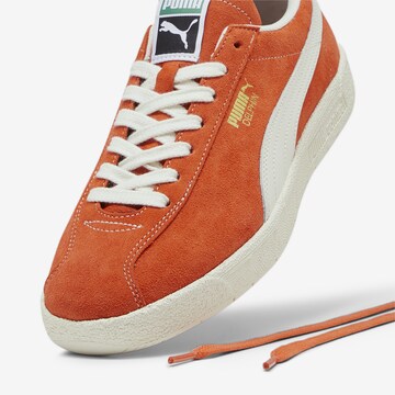 PUMA Sneake 'Delphin' in Orange