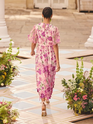 love & roses Obleka | roza barva