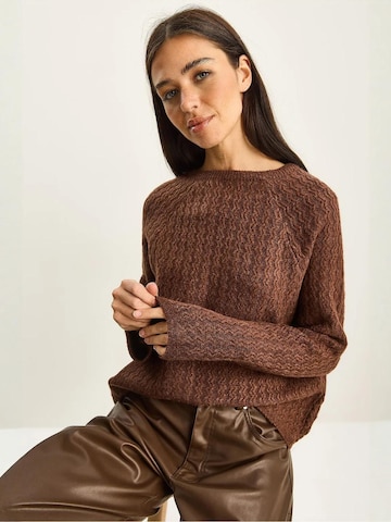 Bianco Lucci - Pullover em castanho