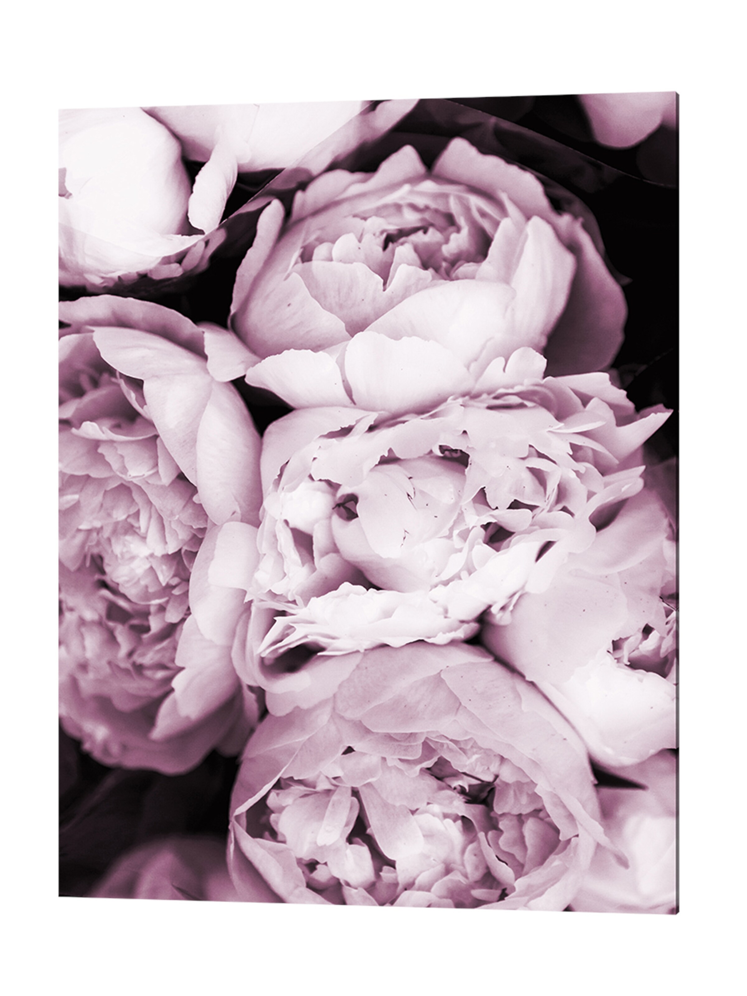 Liv Corday Image 'Peony Flower Arrangement' in Grey: front