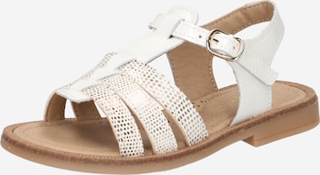 Sandalo di CLARYS in bianco: frontale