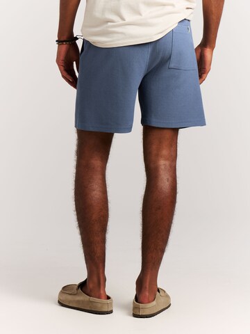 PROTEST Regular Pants 'PRTGraig' in Blue