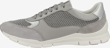 GEOX Sneakers laag 'Sukie' in Grijs