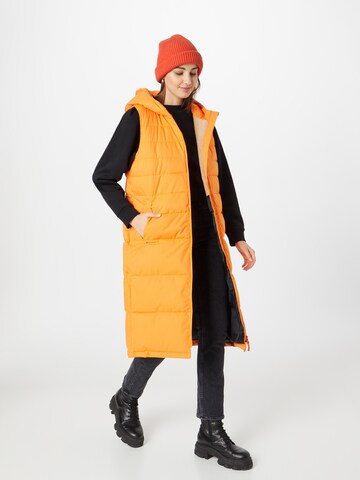 Derbe Weste 'Vestholm' in Orange