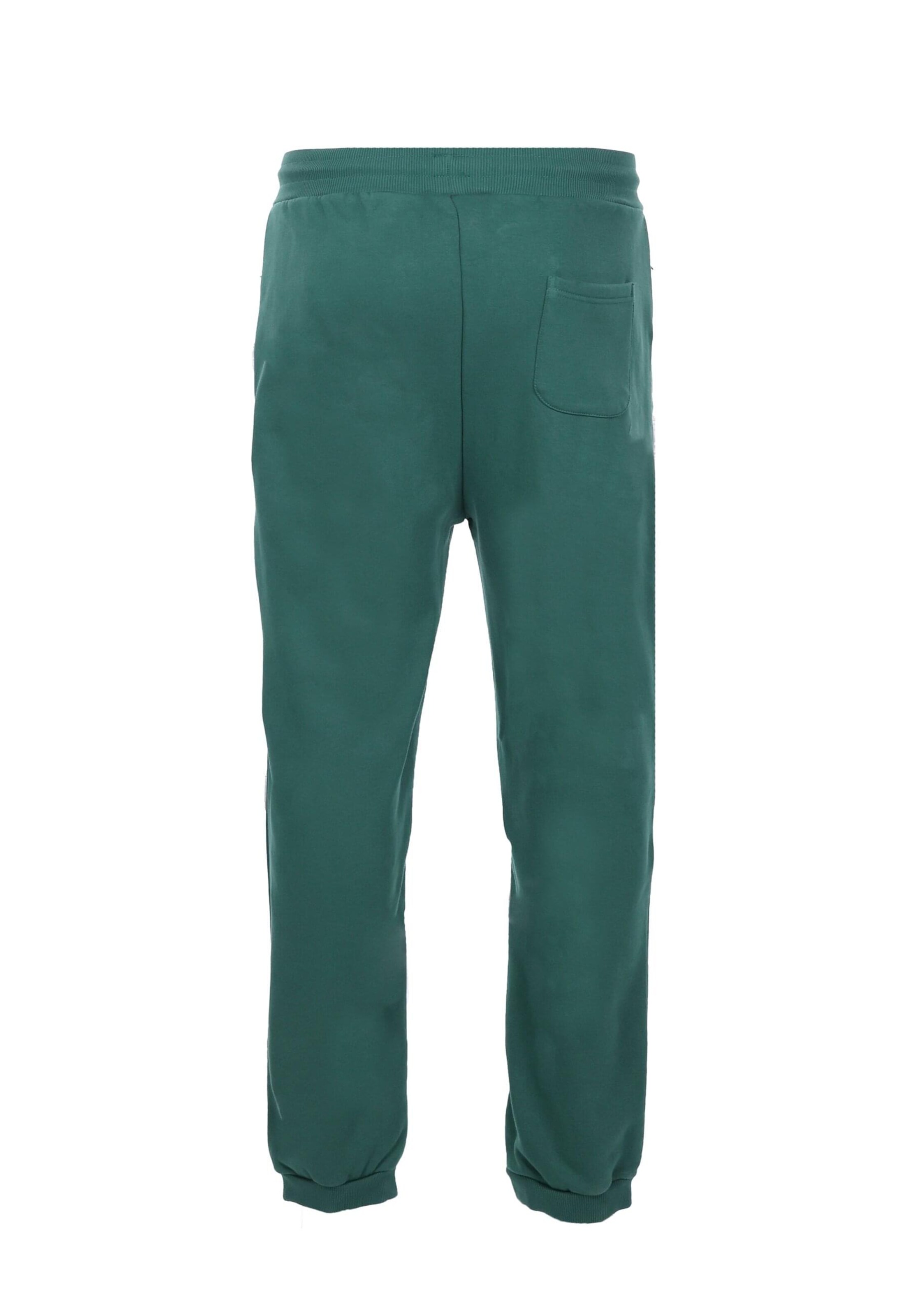 Dropsize Tapered Bukser i grøn