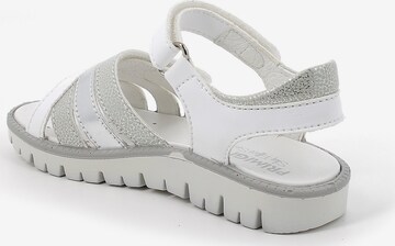 Chaussures ouvertes 'Pax' PRIMIGI en blanc