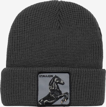 GOORIN Bros. Beanie in Grey: front