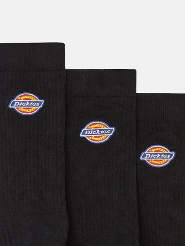 DICKIES Sokken 'DICKIES VALLEY GROVE SOCK CALZINI' in Zwart