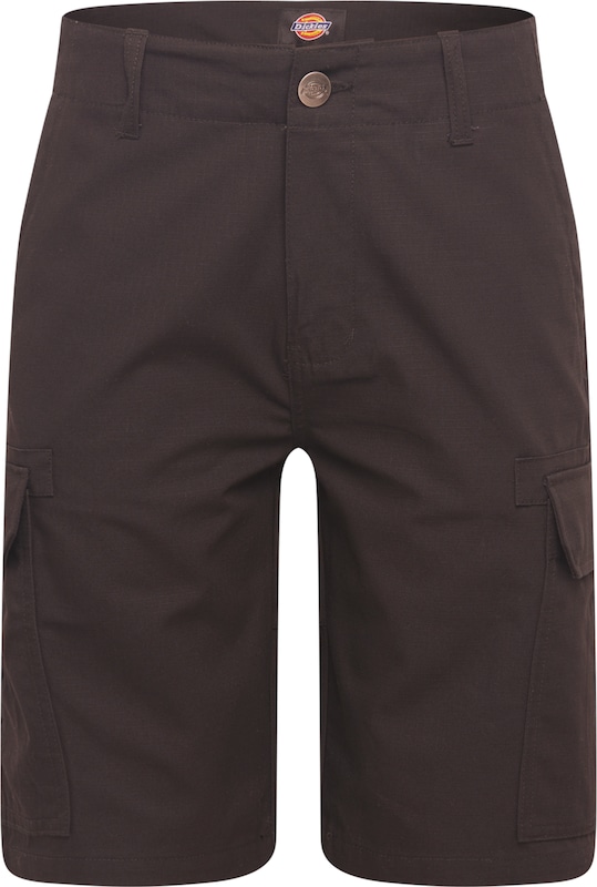 DICKIES Regular Shorts in Schwarz
