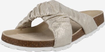 BULLBOXER Pantolette in Gold: predná strana