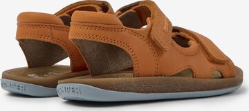 CAMPER Sandals 'Bicho' in Brown