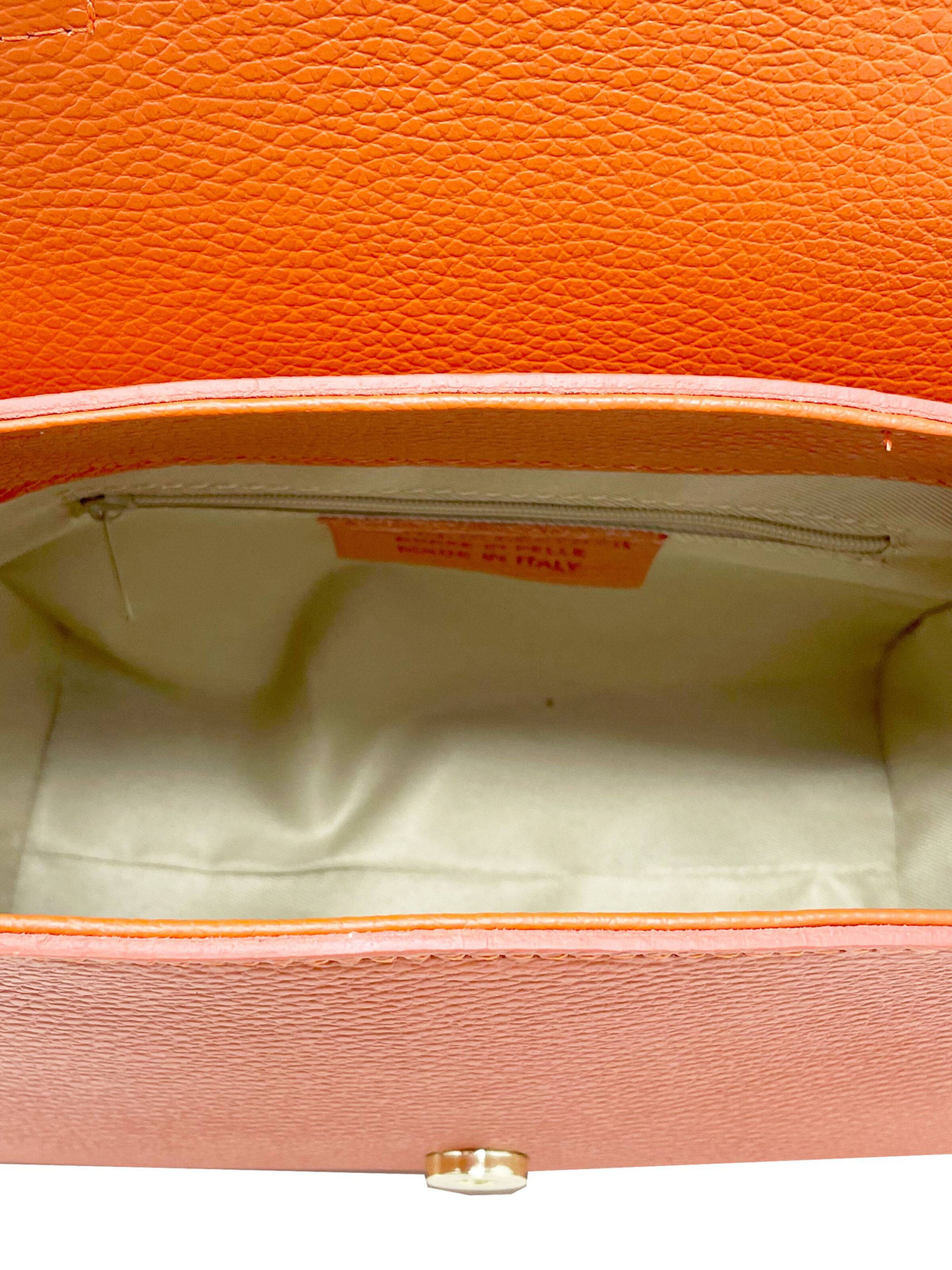 CHICCA BORSE Handbag in Orange