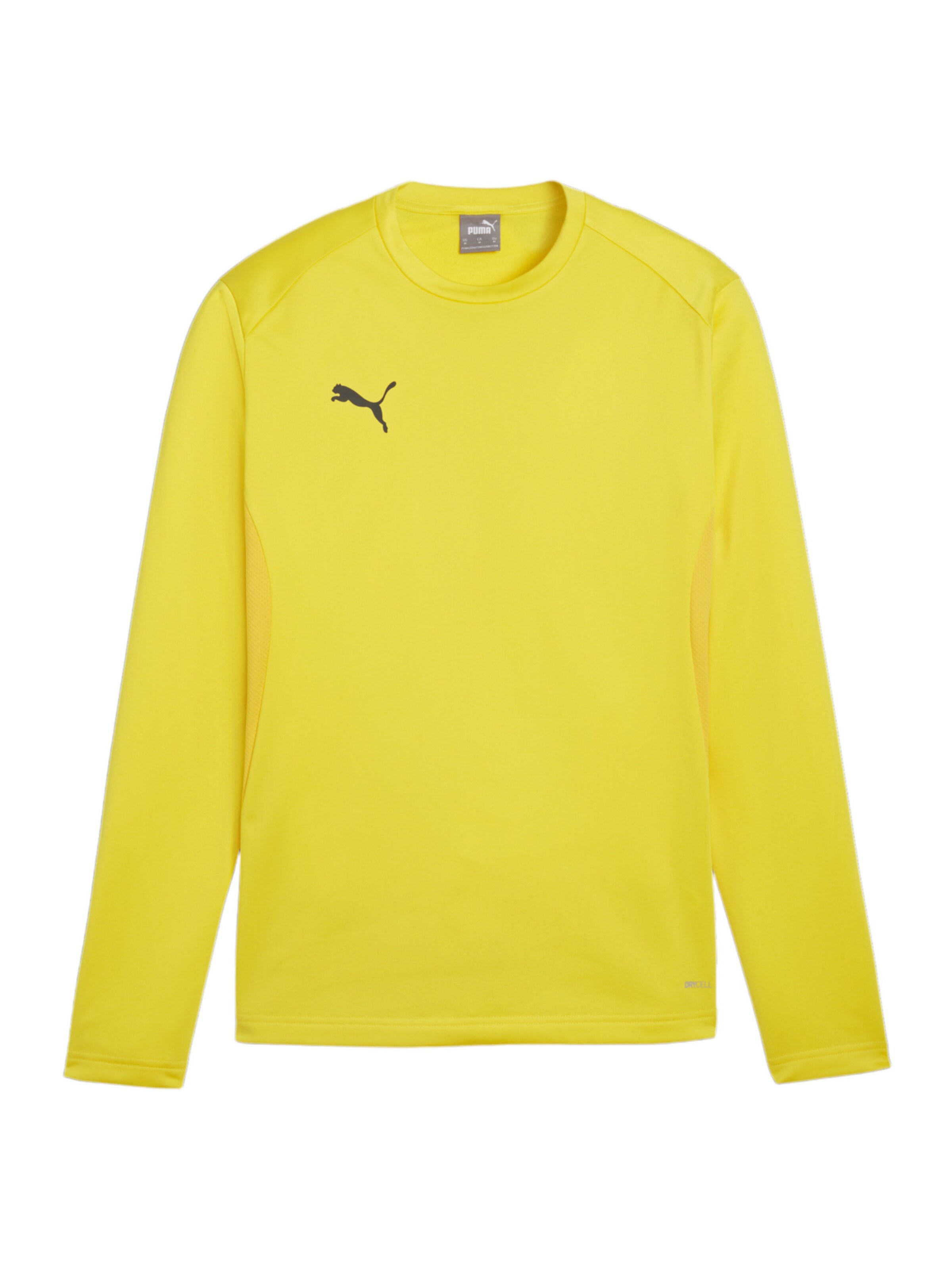 PUMA Sportsweatshirt 'TeamGOAL' in Gelb: Vorderseite