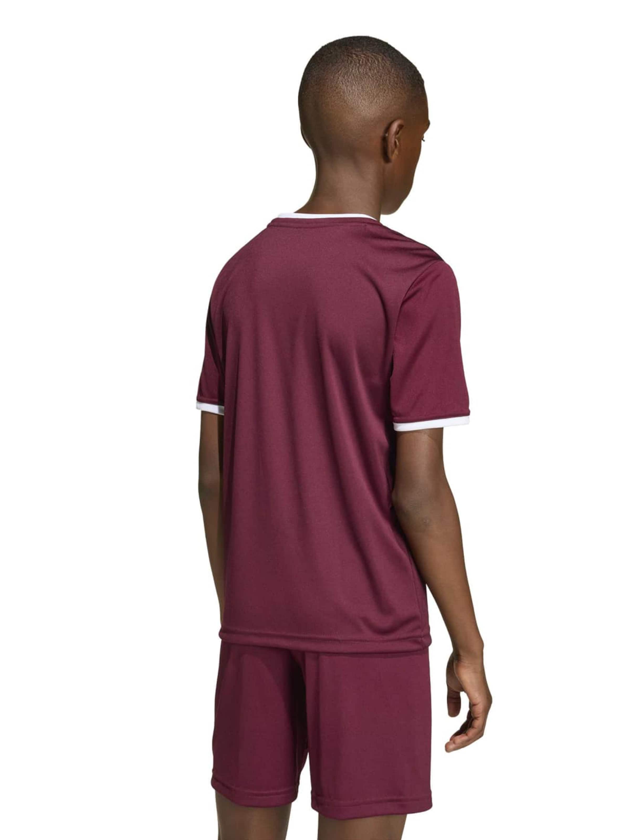 ADIDAS PERFORMANCE Функциональная футболка 'ENT26' в Красный