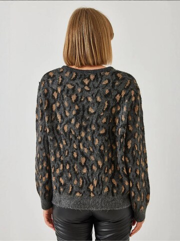 Pull-over 'Pullover' Bianco Lucci en gris