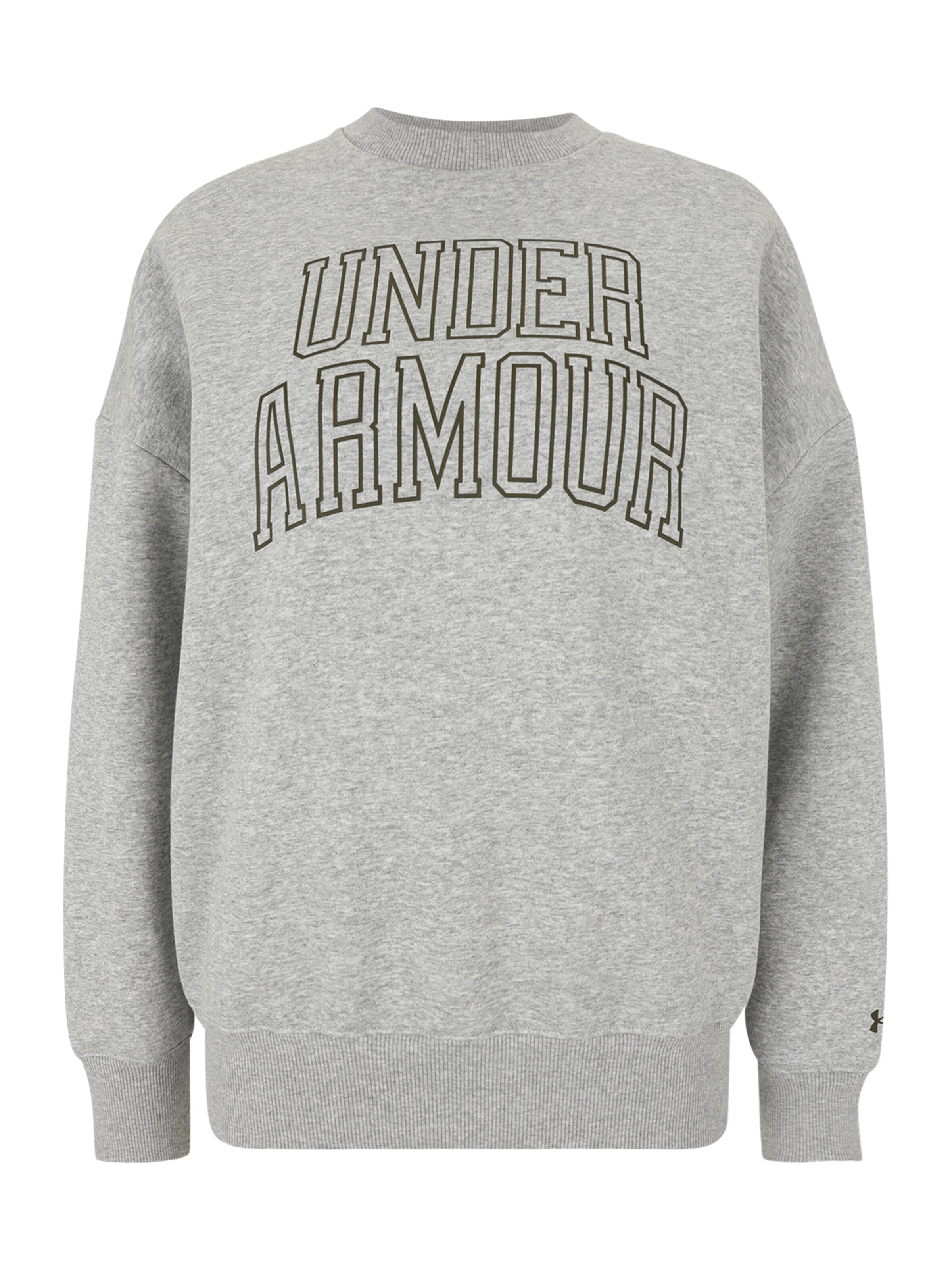 UNDER ARMOUR Спортивный свитшот 'Rival' в Серый: спереди