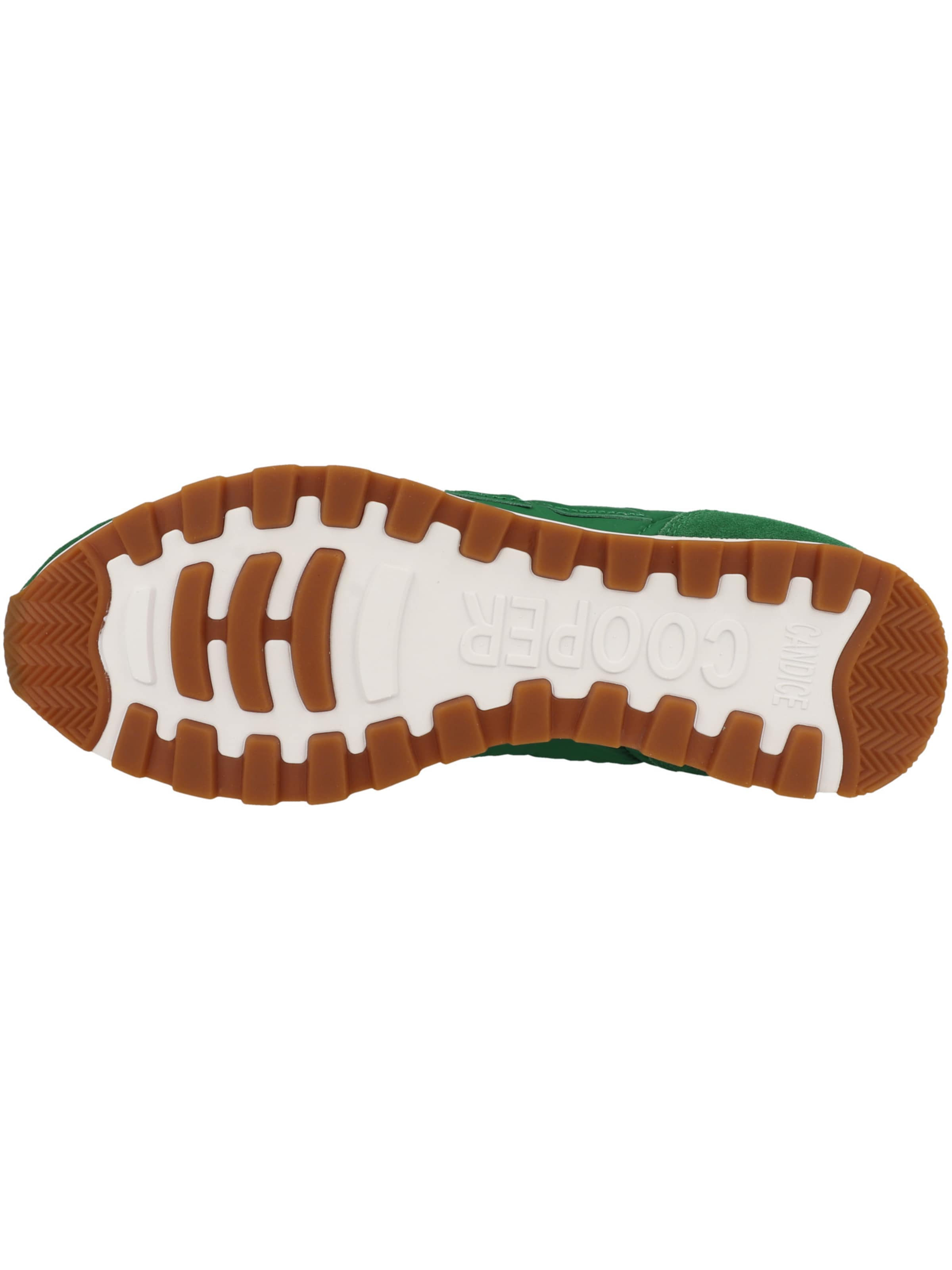 Baskets basses ' PLUME 3 ' Candice Cooper en vert