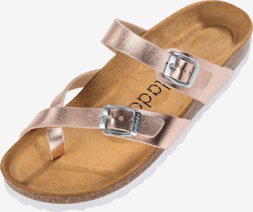 Palado Pantolette 'Cres' in Pink: Vorderseite