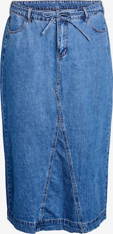 mėlyna Zizzi Sijonas: priekis