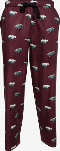Cyberjammies Pajama Pants 'Harley Polar Bear' in Red: front