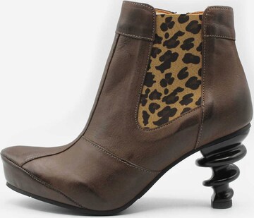 TIGGERS Chelsea Boots in Brown