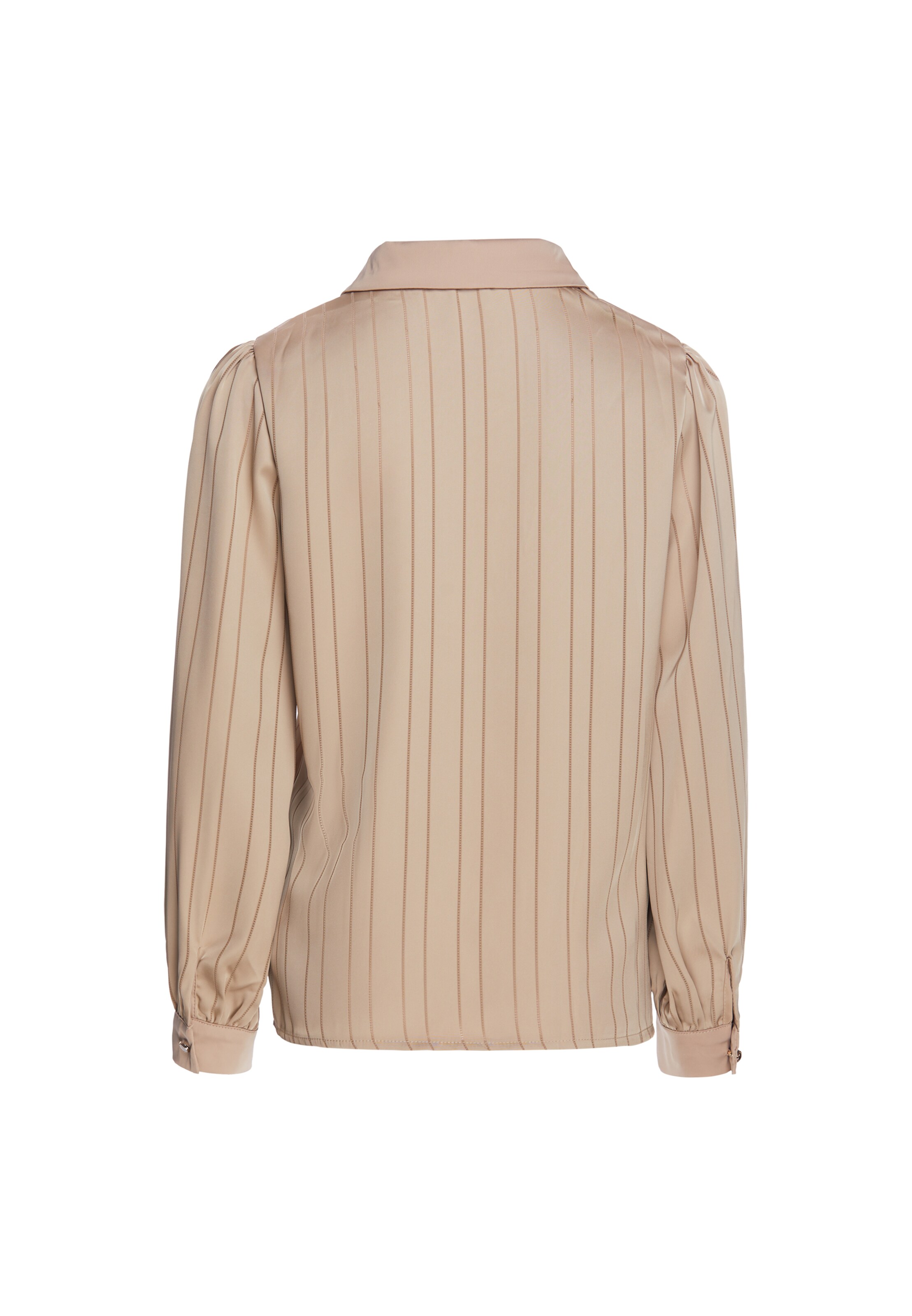 usha BLACK LABEL Blouse in Bruin