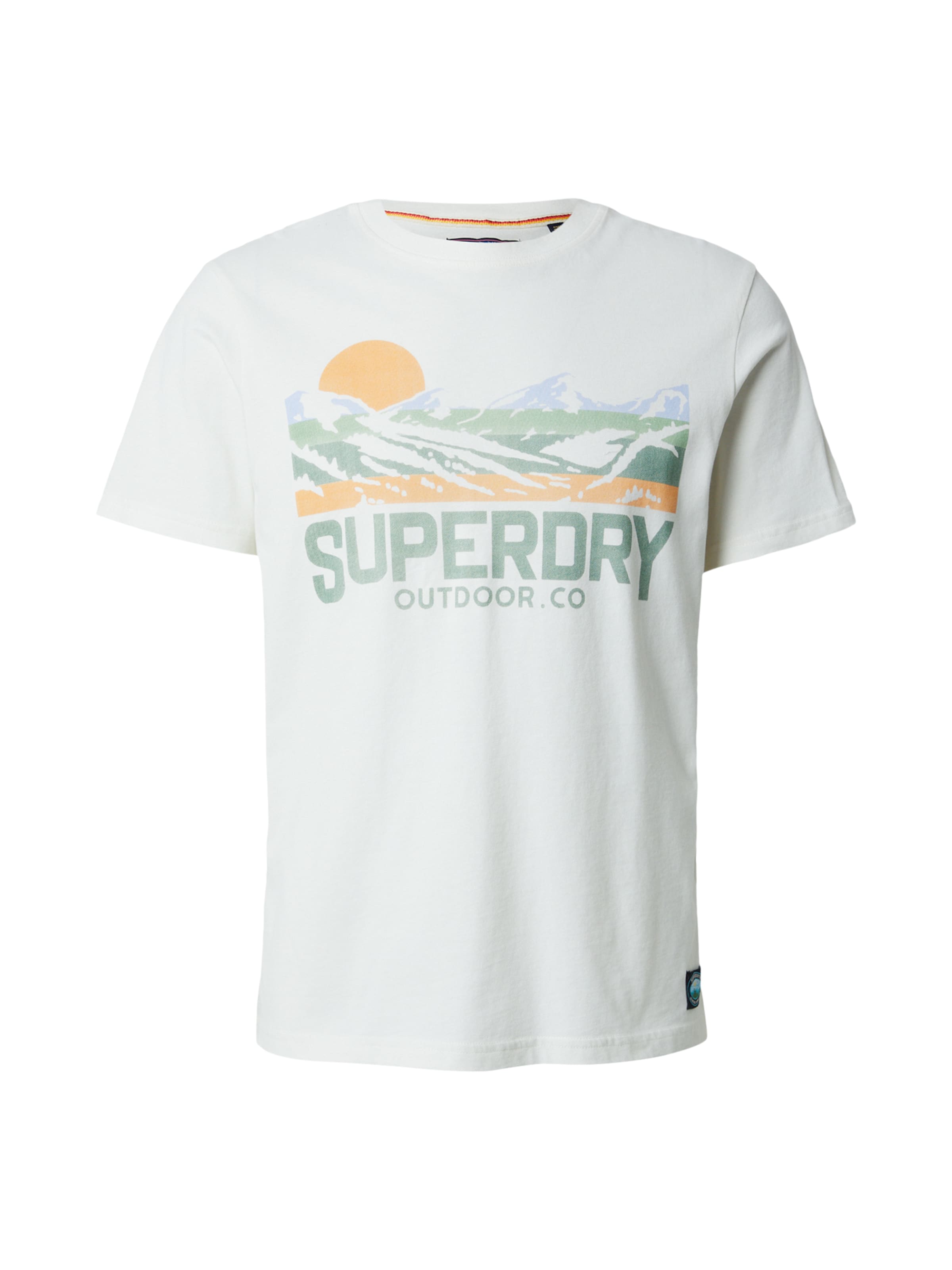 T-Shirt Superdry & Co en blanc : devant