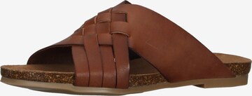 COSMOS COMFORT Mules in Brown: front