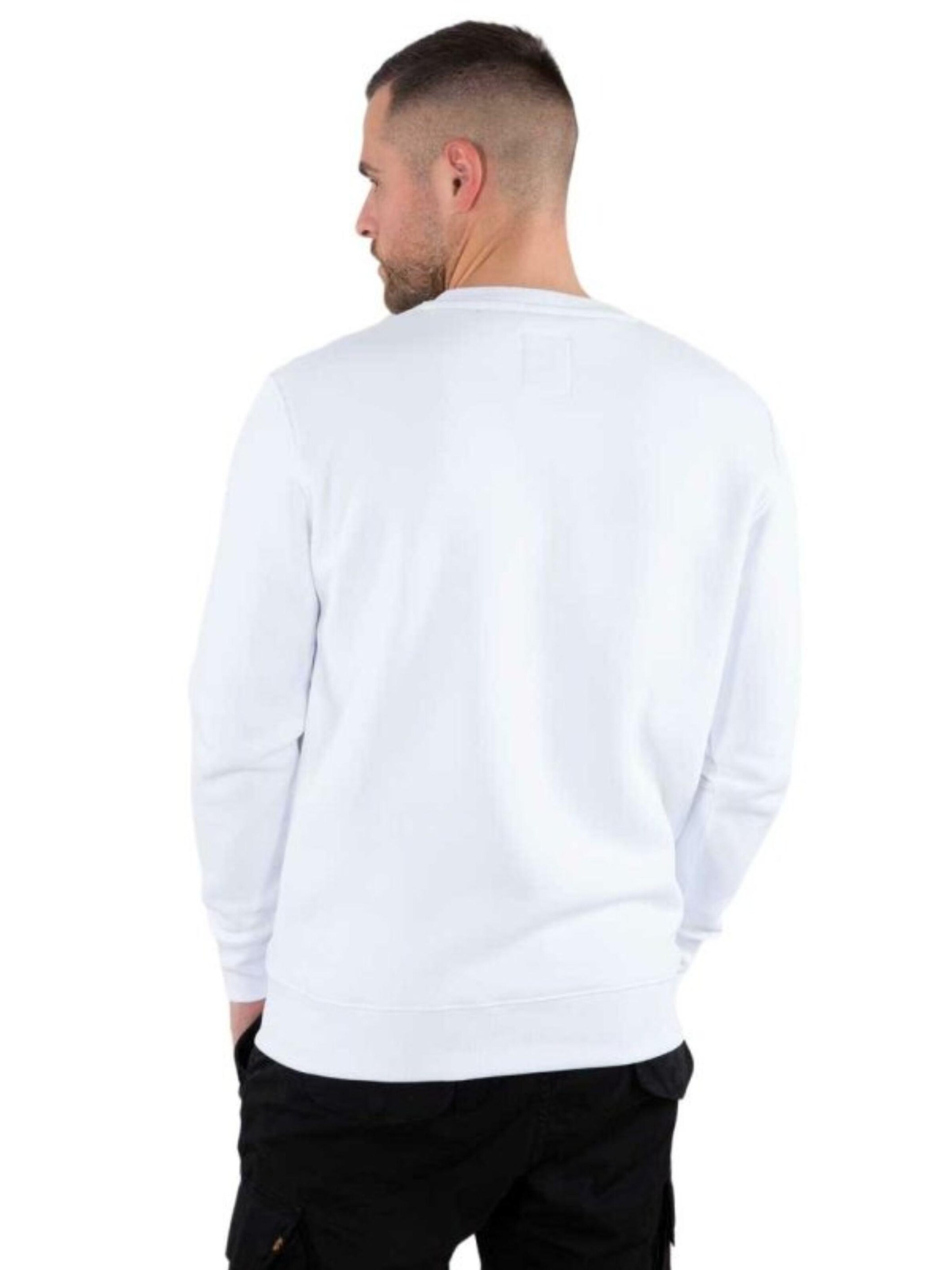 ALPHA INDUSTRIES Sweatshirt 'Basic Logo'‌‌‌‌‌‌‌‌‌ in Weiß