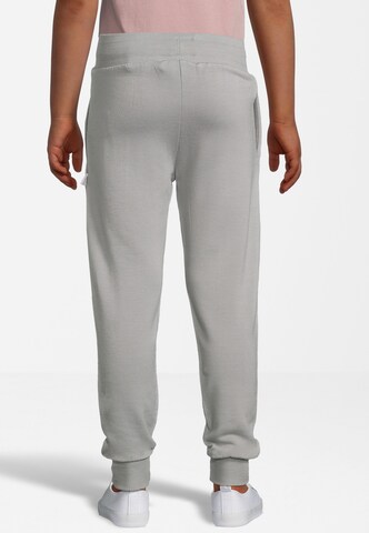 New Life Tapered Broek in Grijs