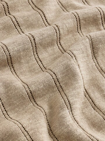 Next Pullover in Beige