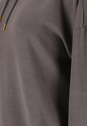 Athlecia Kapuzensweatshirt 'NAMIER' in Braun