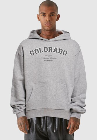 Felpa 'Colorado' di 9N1M SENSE in grigio: frontale