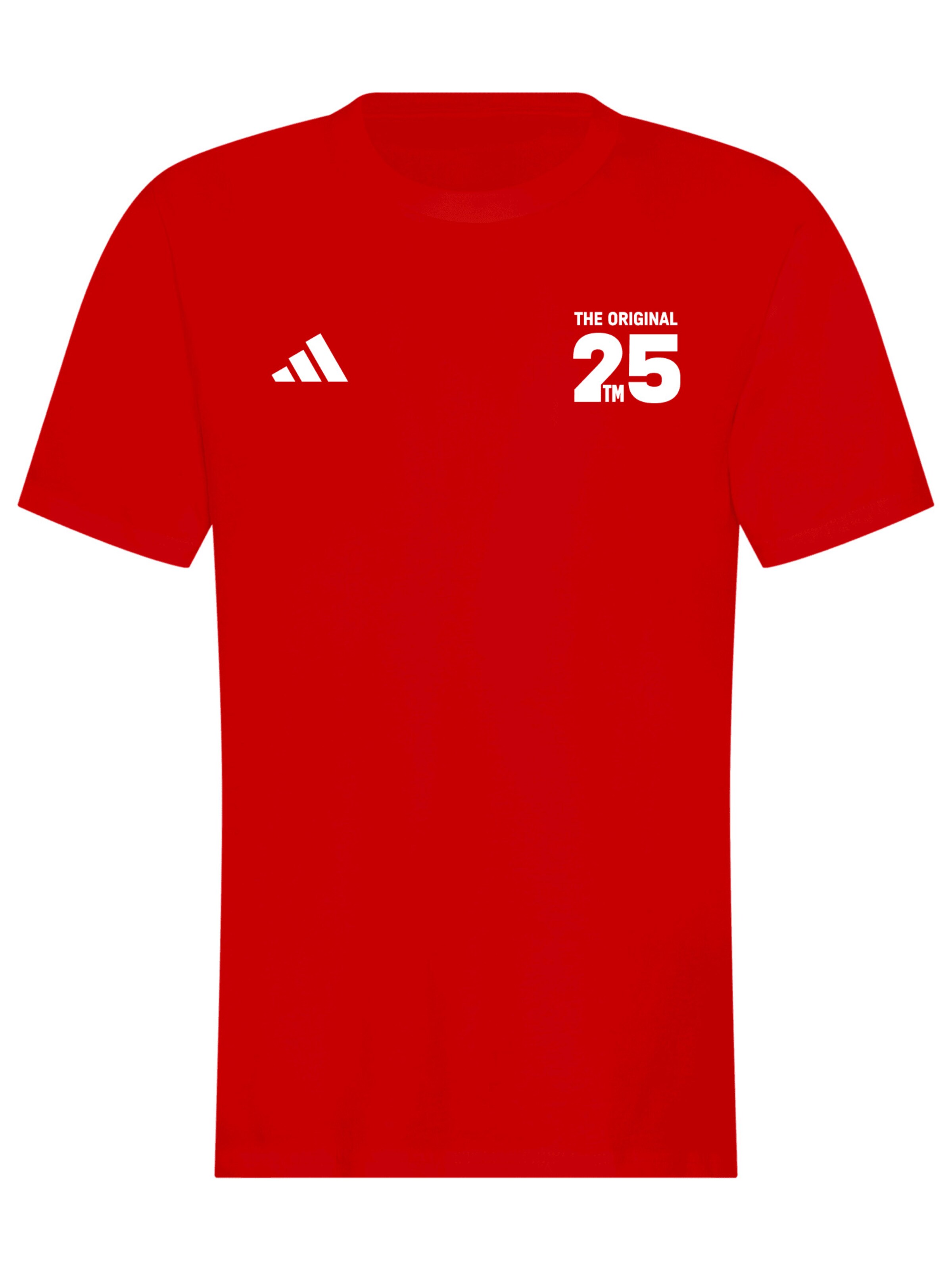 FC BAYERN MÜNCHEN T-Shirt in marine / braun / rot / weiß, Produktansicht