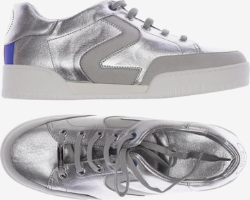 Stella McCartney Sneaker 40 in Grau: Vorderseite
