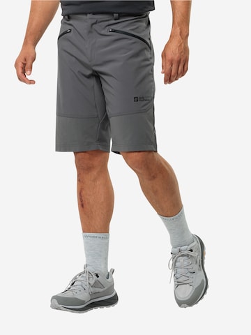 JACK WOLFSKIN Regular Sportshorts 'HIKING ALPINE' in Grau: predná strana