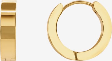 Heideman Earrings 'Caro' in Gold