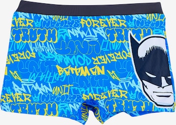 Batman Badeshorts 'Batman' in Grau: Vorderseite