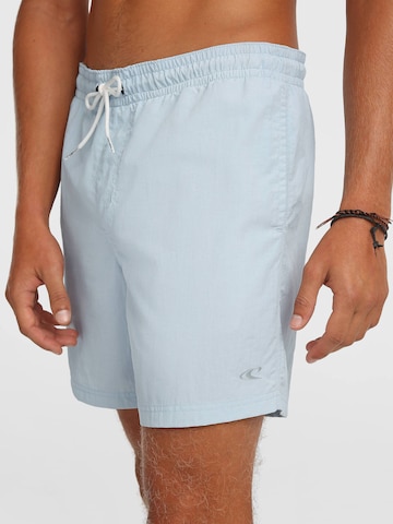 Shorts de bain 'Vert 16' O'NEILL en bleu